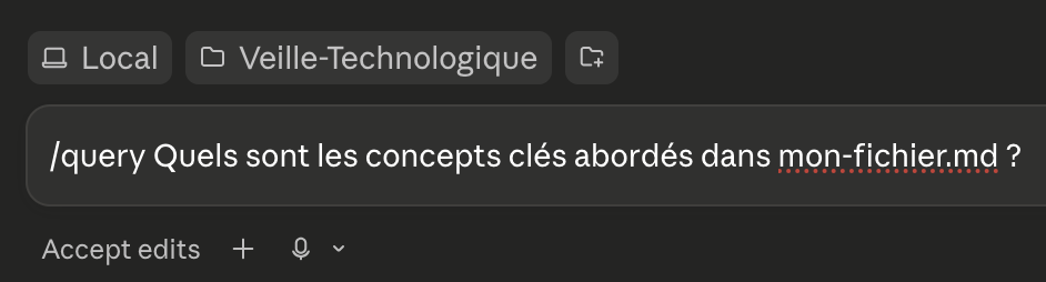 Résultat du skill /query